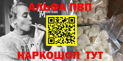 гашик Камышлов