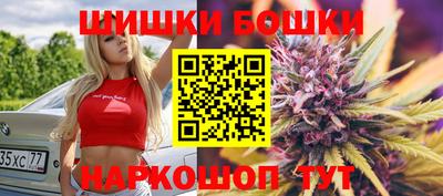 гашик Камышлов