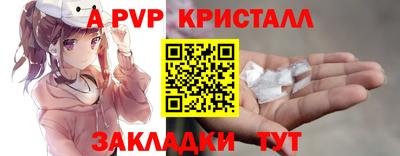 стаф Канаш