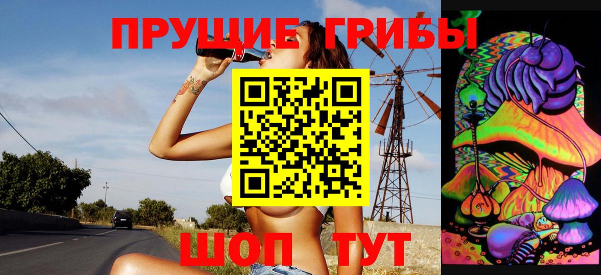 Псилоцибиновые грибы прущие грибы  Вход с VPN  Ивантеевка 